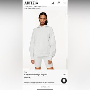 Aritzia Heather Cloud White Hoodie